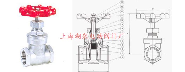 Z11W-16/25P不銹鋼絲扣內螺紋閘閥結構圖片